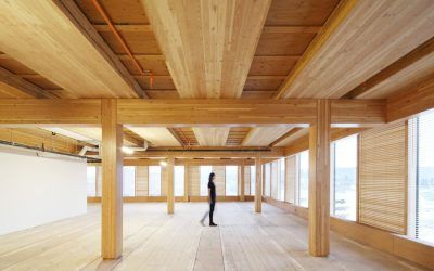 CLT: la madera del futuro